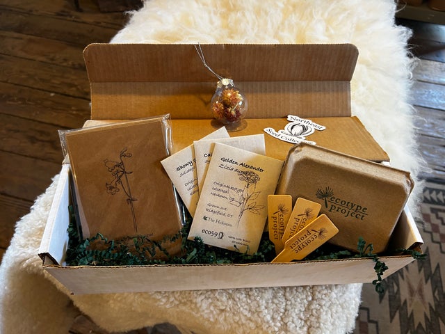 seed swag | Northeast Seed Collective